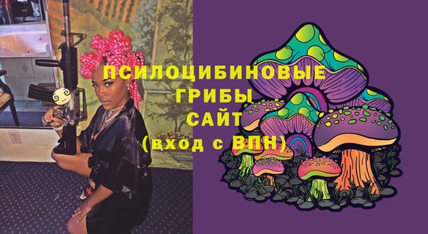 спайс Арсеньев