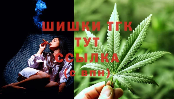 спайс Арсеньев